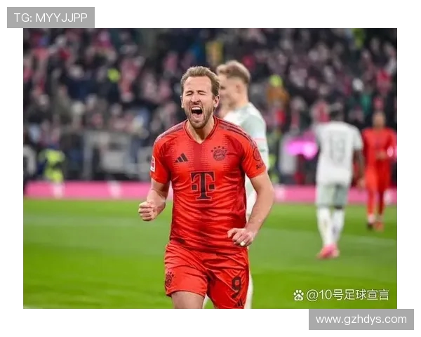 德甲球队绰号大全及各队文化背景解析（附图片）